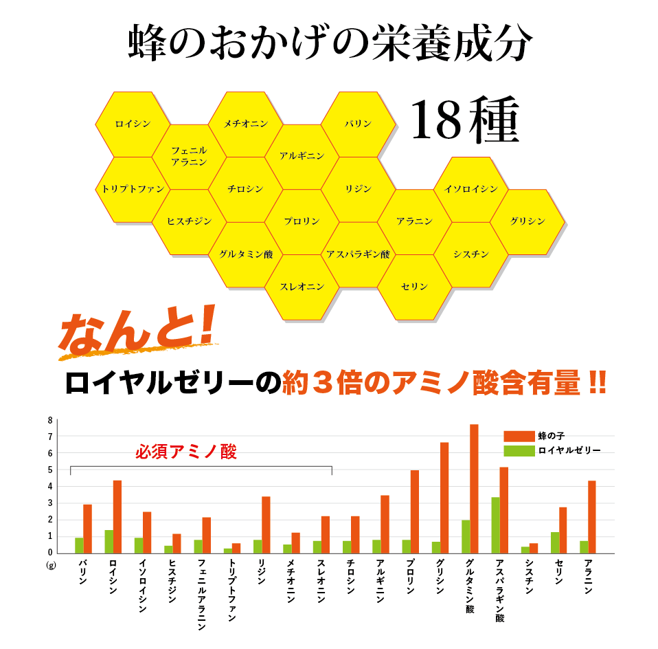 蜂のおかげの栄養成分、バリン、ロイシン	、イソロイシン、ヒスチジン、ファニルアラニン、リジン、メチオニン、スレオニン、チロシン、アルギニン、プロリン、グルタミン酸、シスチン、セリン、アラニン、18種の栄養素、なんとロイヤルゼリーの約3倍のアミノ酸含有量