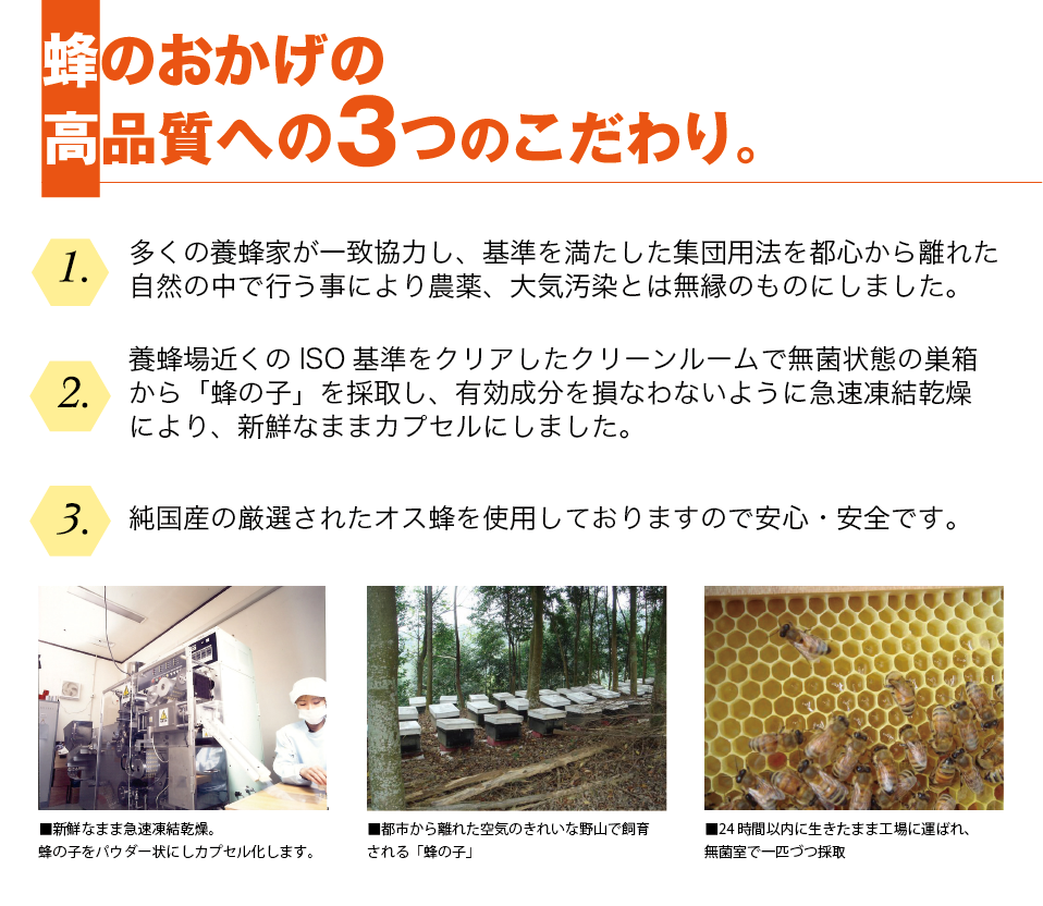 蜂のおかげの高品質への３つのこだわり。多くの養蜂家が一致協力し、基準を満たした集団用法を都心から離れた自然の中で行う事により農薬、大気汚染とは無縁のものにしました。養蜂場近くのISO基準をクリアしたクリーンルームで無菌状態の巣箱から「蜂の子」を採取し、有効成分を損なわないように急速凍結乾燥により、新鮮なままカプセルにしました。純国産の厳選されたオス蜂を使用しておりますので安心・安全です。