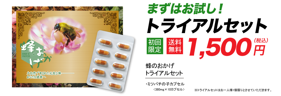 蜂のおかげ購入はこちらから